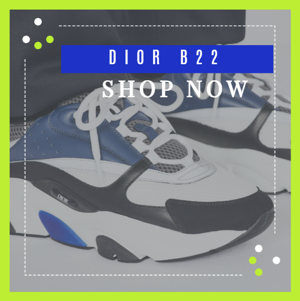 DIOR B22